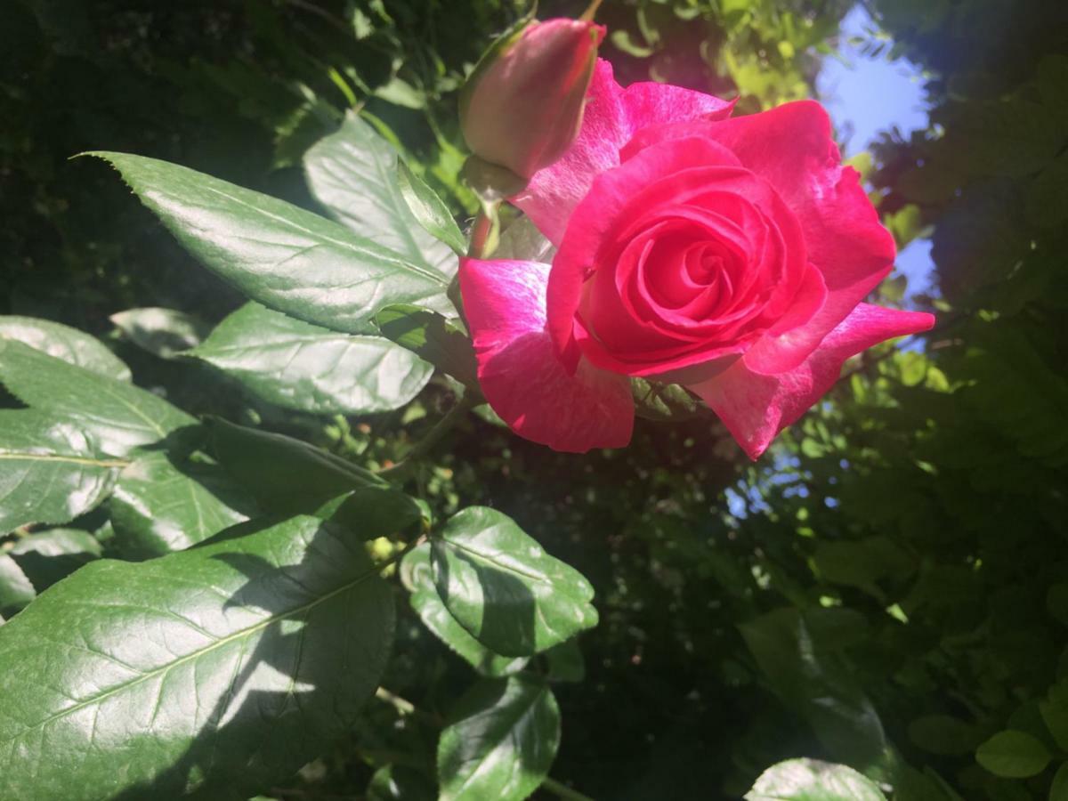 B&B Sole Luna Перуджа Екстер'єр фото